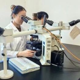 【燕医科普】看懂胃镜病理报告：胃萎缩、肠化到底是什么？会变癌吗？