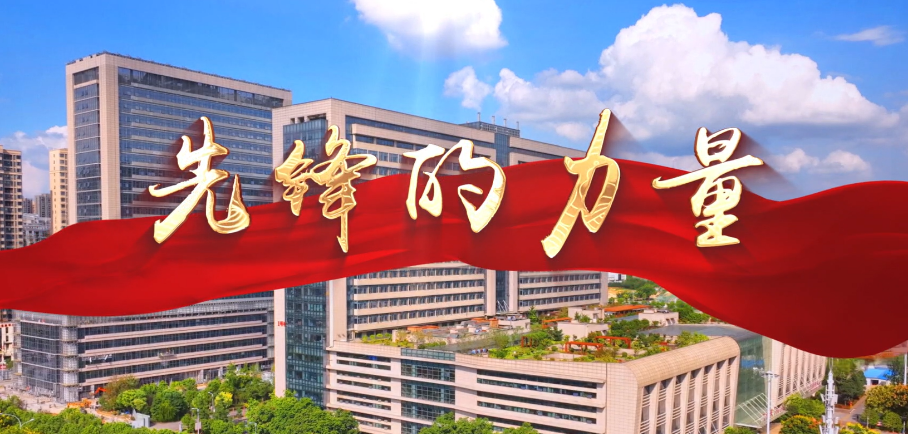 先锋力量|市直卫健系统优秀党务工作者——王琴