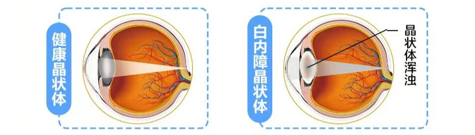 天凉好个秋,正是摘“障”好时候