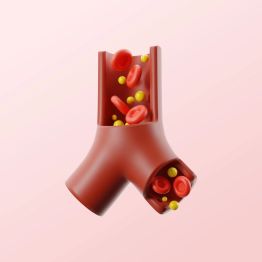 科普丨带你认识血脂家族的“4大核心角色”