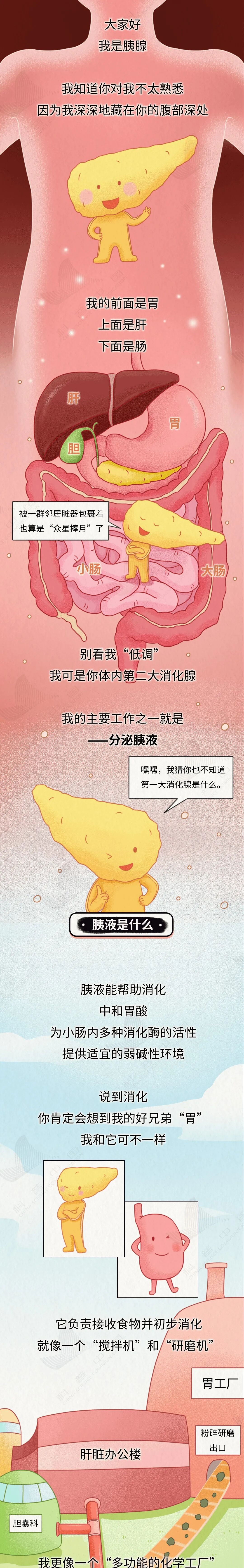 【健康科普】癌症之王！生存率极低，很多人查出就是晚期，这些坏习惯要改掉