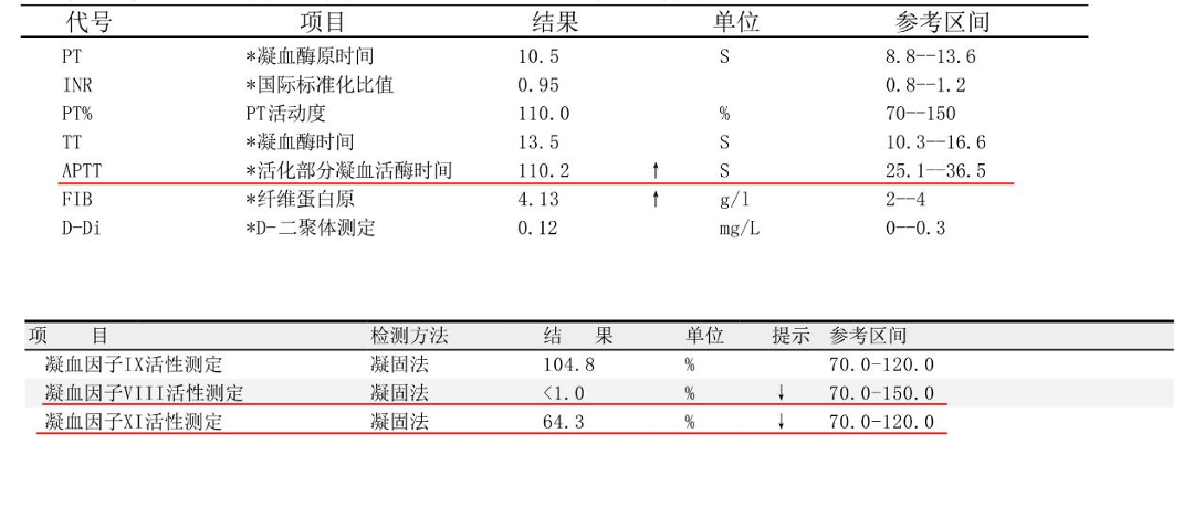 血友病是啥？揭开“玻璃人”背后的秘密