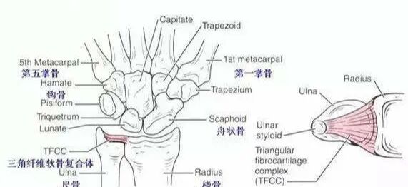 手腕扭伤经久不愈？别让“小损伤”偷走你的手腕健康