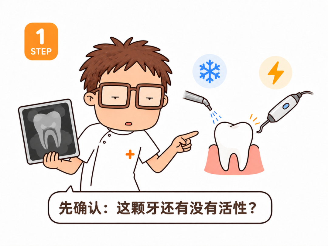 为什么有一颗牙在偷偷变色,他到底经历了什么?