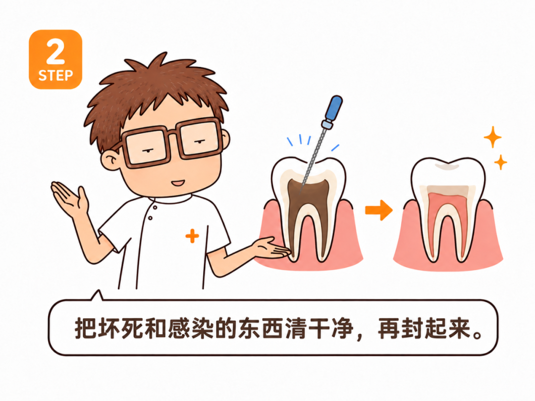 为什么有一颗牙在偷偷变色,他到底经历了什么?