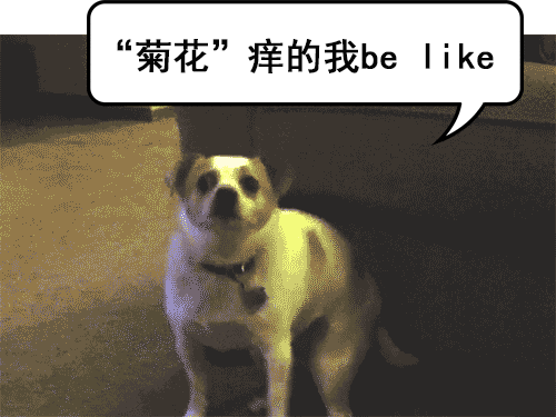 “菊部”瘙痒!挠只能一时“爽”,正确方法是→