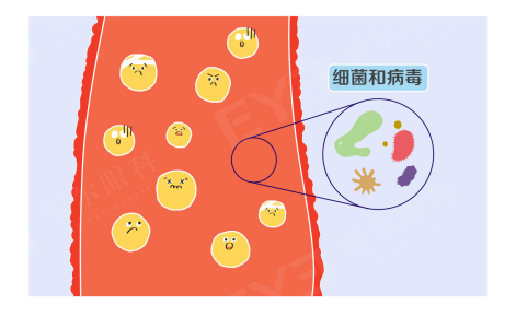 莫名流泪反反复复,拖久了可引发炎症!泪道问题要早查
