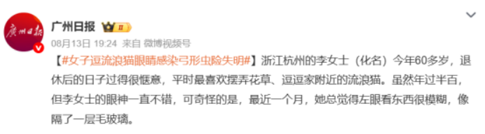 女子逗流浪猫感染弓形虫险失明冲上热搜,养猫家庭怎么办?