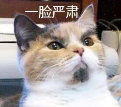 感冒灵正式列入禁驾清单!吃药开车=违法