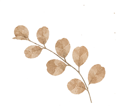 【教师节】你们一手托起生命，一手托起未来——致石河子市人民医院全体临床教师、医学教育工作者的一封信