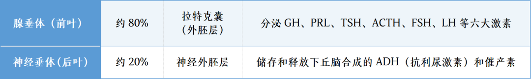 七旬老人突发“眼蒙”,入院检查发现是肿瘤作祟