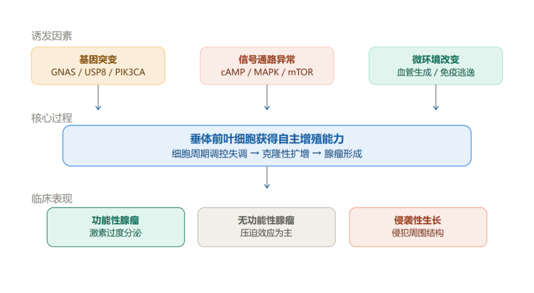 七旬老人突发“眼蒙”,入院检查发现是肿瘤作祟