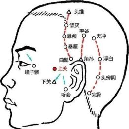 丨跟我学腧穴丨瞳子髎穴、听会穴、上关穴、颔厌穴、悬颅穴、悬厘穴