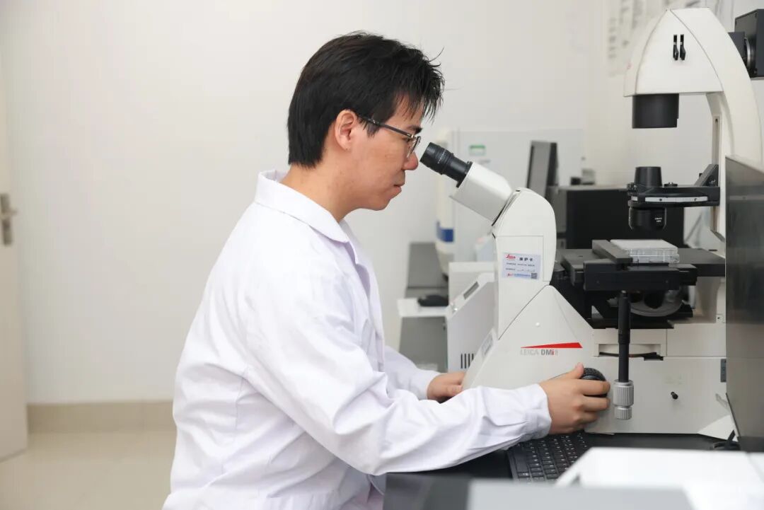 医工融合启新知|专访淮安市一院国自然青年项目负责人张昊:打通理论走向临床的“最后一公里”