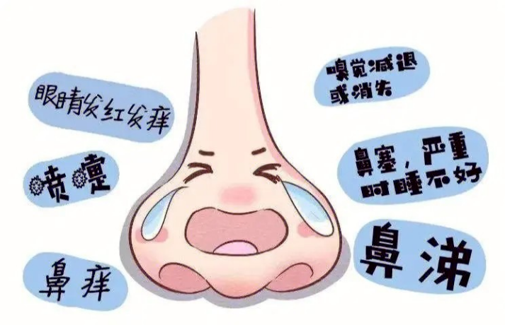 秋季过敏性鼻炎防治及注意事项