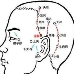 丨跟我学腧穴丨曲鬓穴、率谷穴、天冲穴、浮白穴、头窍阴穴、完骨穴