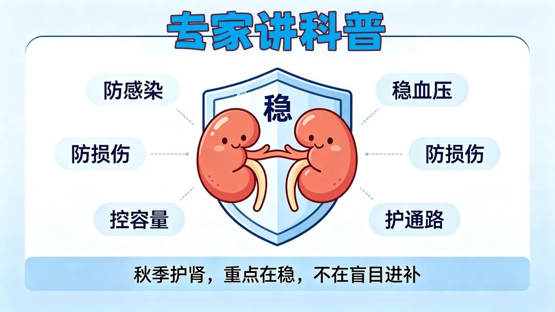 专家讲科普|肾脏也怕“秋后算账”?入秋后,这5类肾脏问题要当心