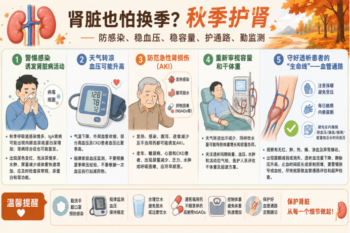 专家讲科普|肾脏也怕“秋后算账”?入秋后,这5类肾脏问题要当心