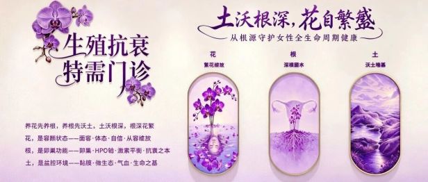【协作组科普】小腹突出、骨盆前倾？可能是你的“底盘”松了