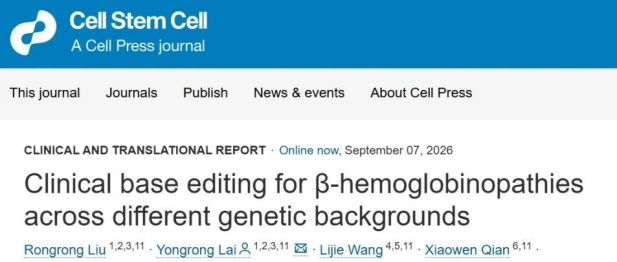 再登国际顶刊《Cell Stem Cell》！广西医科大一附院地贫防治研究团队碱基编辑治疗血红蛋白病再获新突破