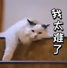 【健康科普】你们家娃会不会总流鼻涕、打喷嚏？