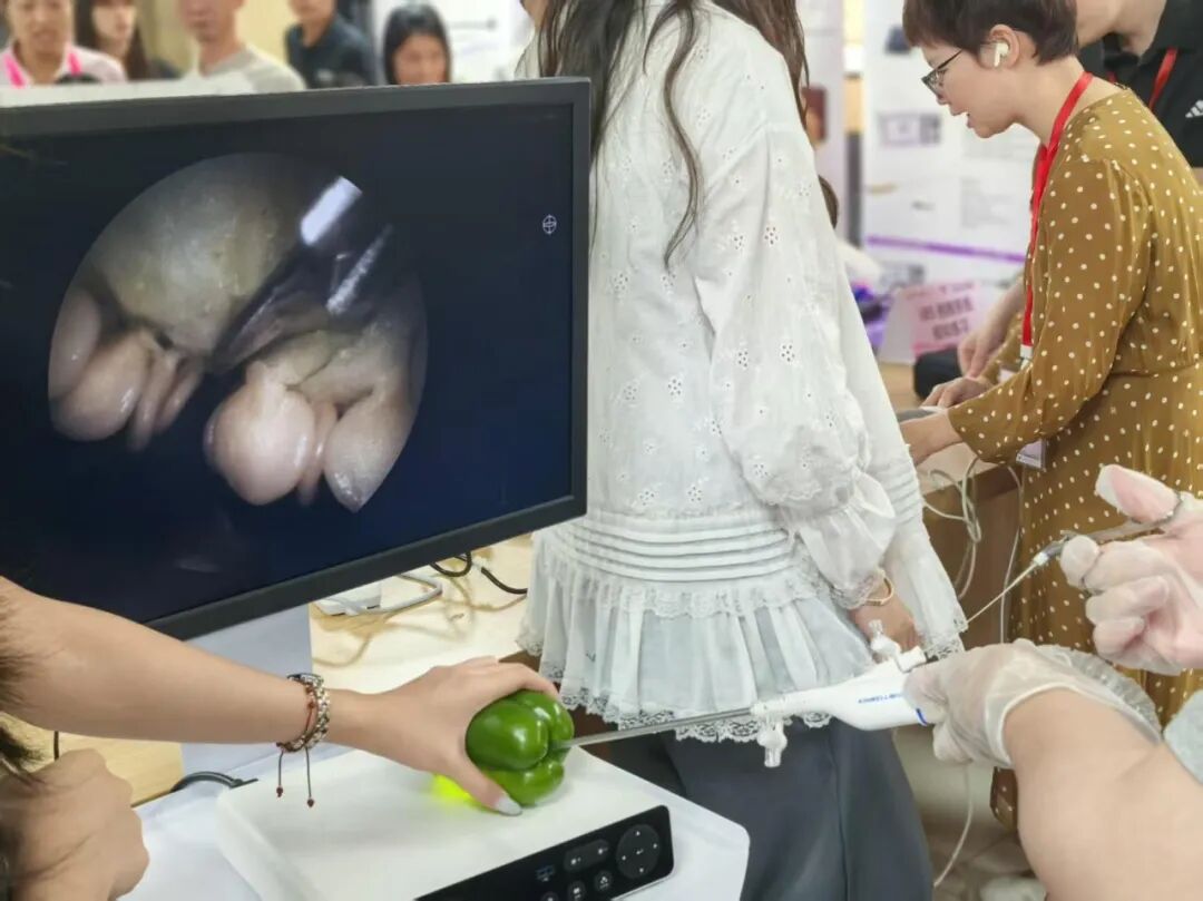 练好“绣花功夫”，守护“生命摇篮”——我院妇科举办2026年宫内疾病诊治新进展学习班暨实战培训