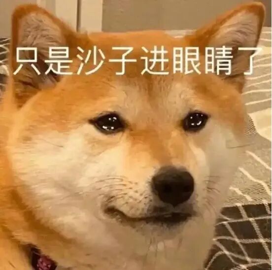 【预防“两热”】一场暴雨喂肥蚊虫!绵阳专属猫猫蚊、尖嘴蚊防咬攻略
