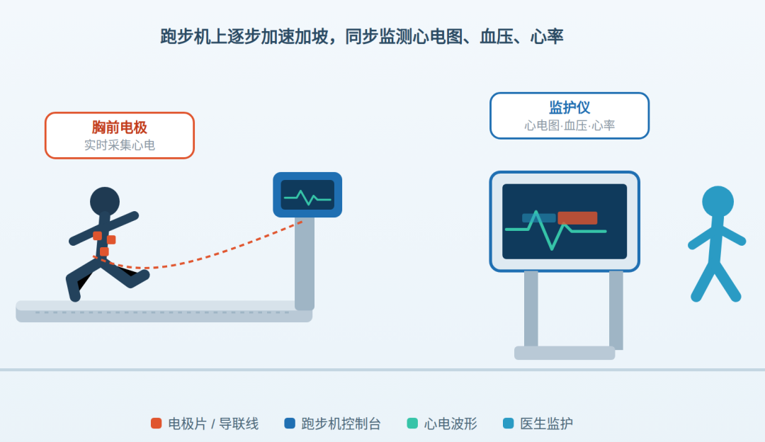 跑步机上的心脏体检:查什么、怎么做、谁需要做?