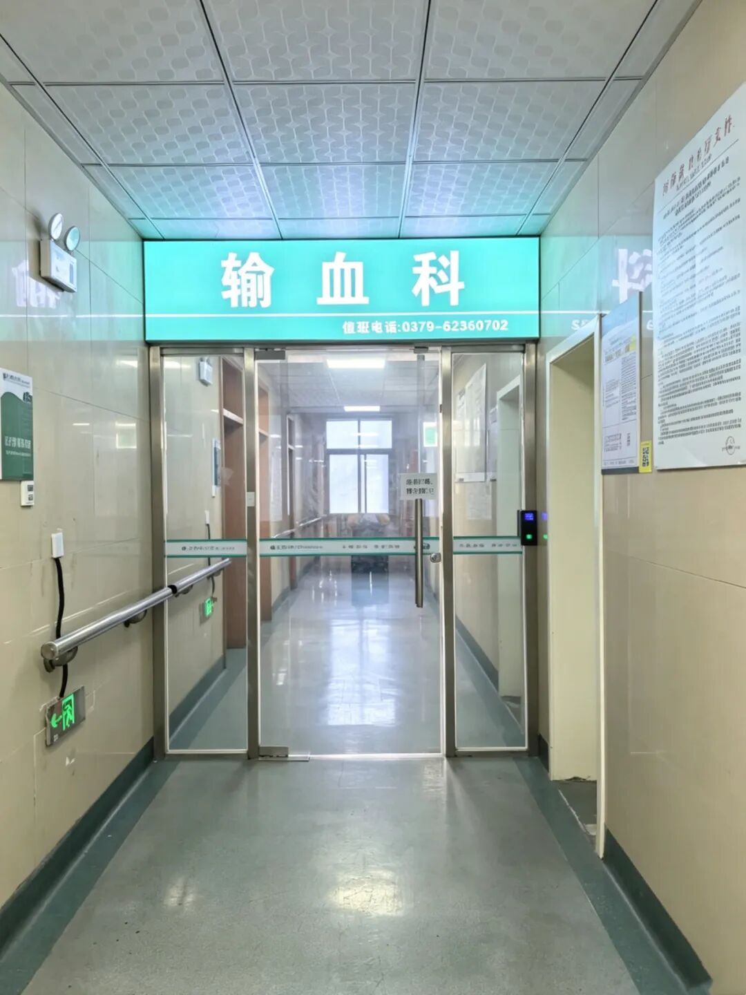 以血为舟,托举生命之光