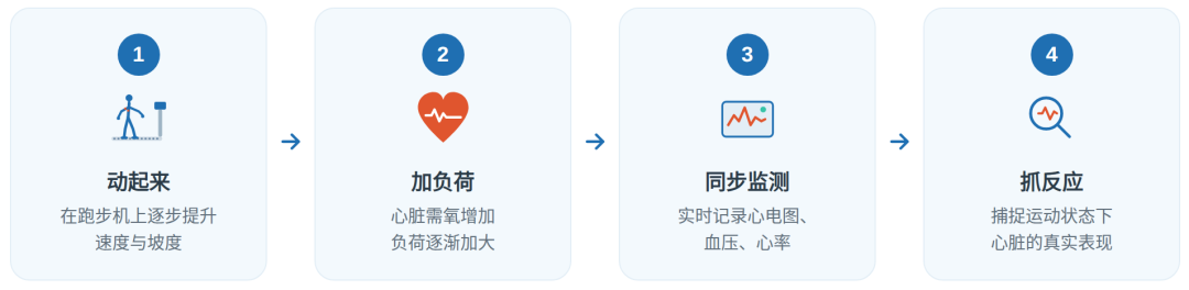 跑步机上的心脏体检:查什么、怎么做、谁需要做?