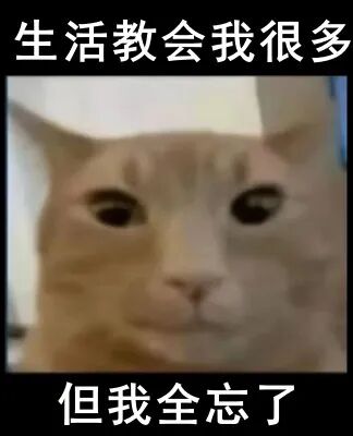 不是吧?熬夜刷手机,真能把脑子刷“傻”吗?