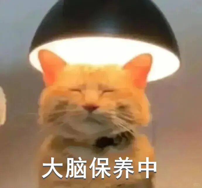 不是吧?熬夜刷手机,真能把脑子刷“傻”吗?
