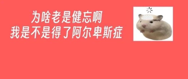 不是吧？熬夜刷手机，真能把脑子刷“傻”吗？