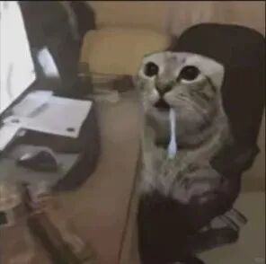 不是吧?熬夜刷手机,真能把脑子刷“傻”吗?