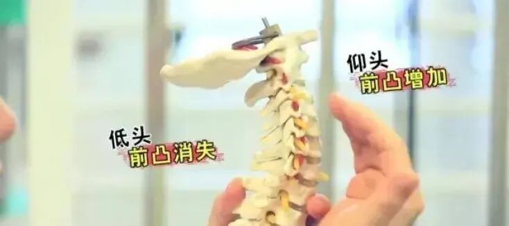 原来一个人睡觉需要2个枕头！医生：一个用来枕头，另一个用来……