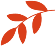 一支部一品牌｜门诊党支部：以 “红色门诊・医路先锋” 品牌赋能“一老一小”馨服务