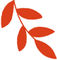 一支部一品牌｜门诊党支部：以 “红色门诊・医路先锋” 品牌赋能“一老一小”馨服务
