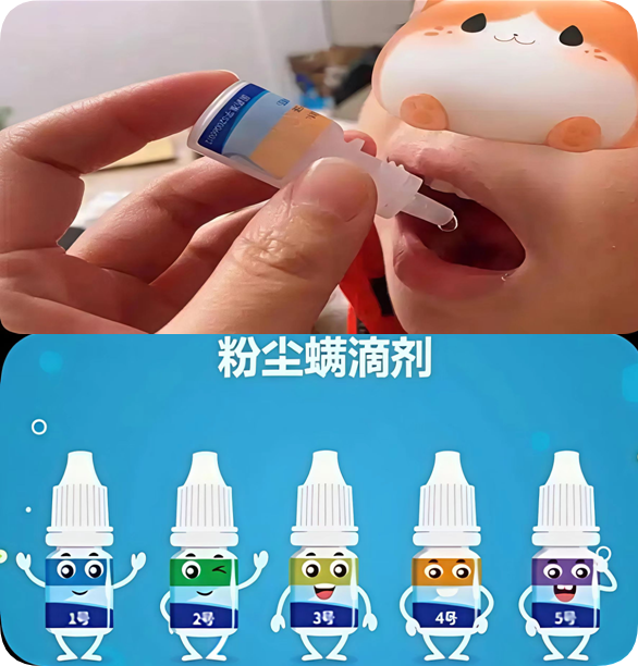过敏别硬扛!粉尘螨滴剂1-5号用法一次说清