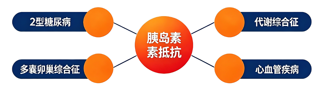 明明吃得不多还发胖？警惕胰岛素抵抗