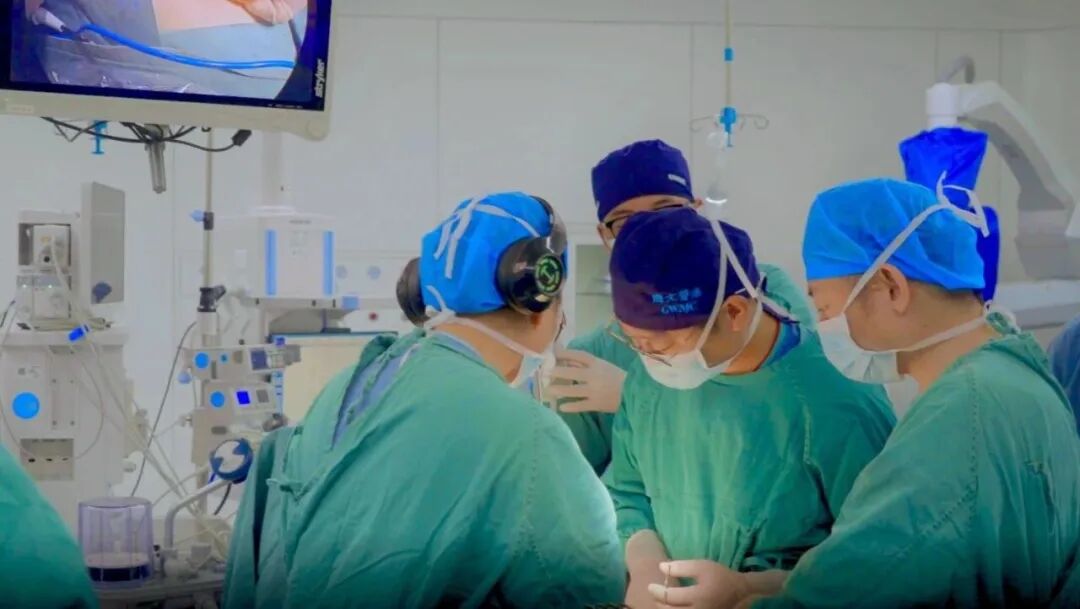 聚力学术赋能 助推专科提质｜国家级继续医学教育推荐项目——疝外科日间手术规范化流程及新技术培训班在长春国文医院成功举办