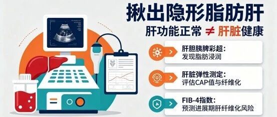 瘦子也会得脂肪肝？体重正常≠肝脏健康