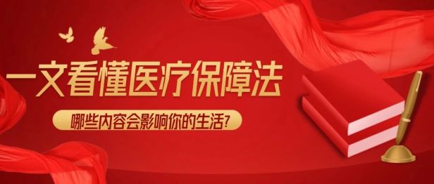 中华人民共和国医疗保障法