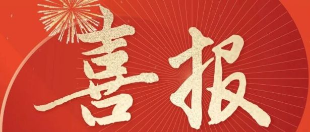 喜报｜西安交大二附院杨佩教授荣获2026致敬医者“国之名医·优秀风范”称号