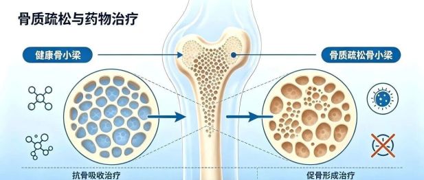 使用“护骨药物”，拔牙种牙有风险～