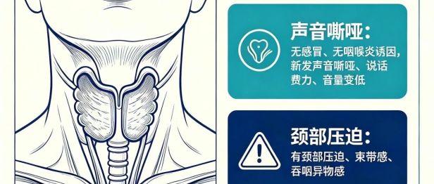 声音嘶哑半个月，查出甲状腺癌！医生妙手切除肿瘤+重建喉返神经
