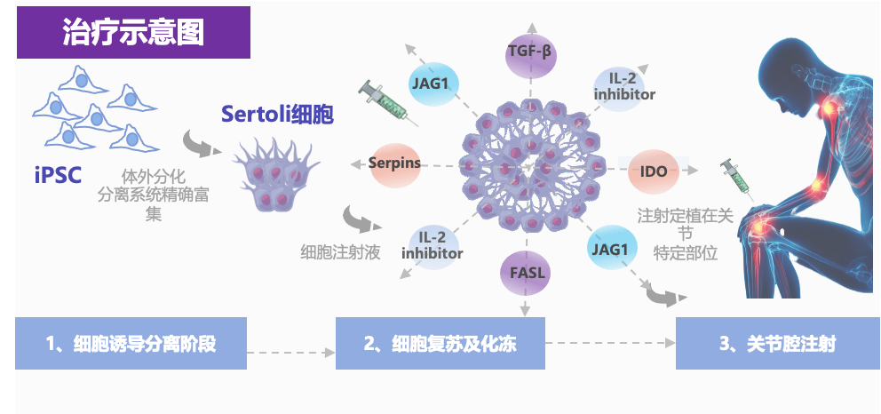 喜报|广西首个!广西医科大学第一附属医院获批生物医学新技术临床研究项目备案