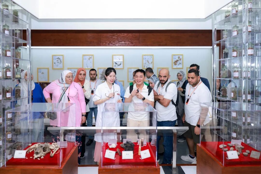 感受中医魅力 促进文明互鉴——埃及中央组织和行政事务局研修班参访西安市中医医院