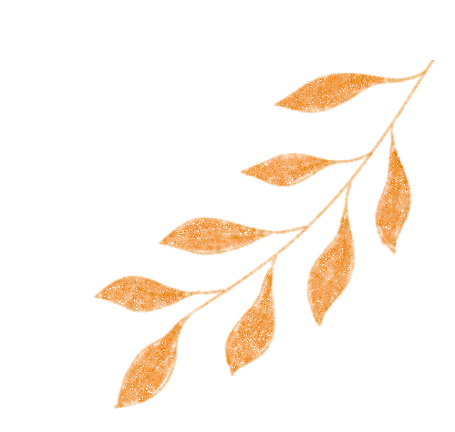 月圆人团圆，清晰共此时｜温州华厦明乐眼科医院月饼DIY活动温情落幕
