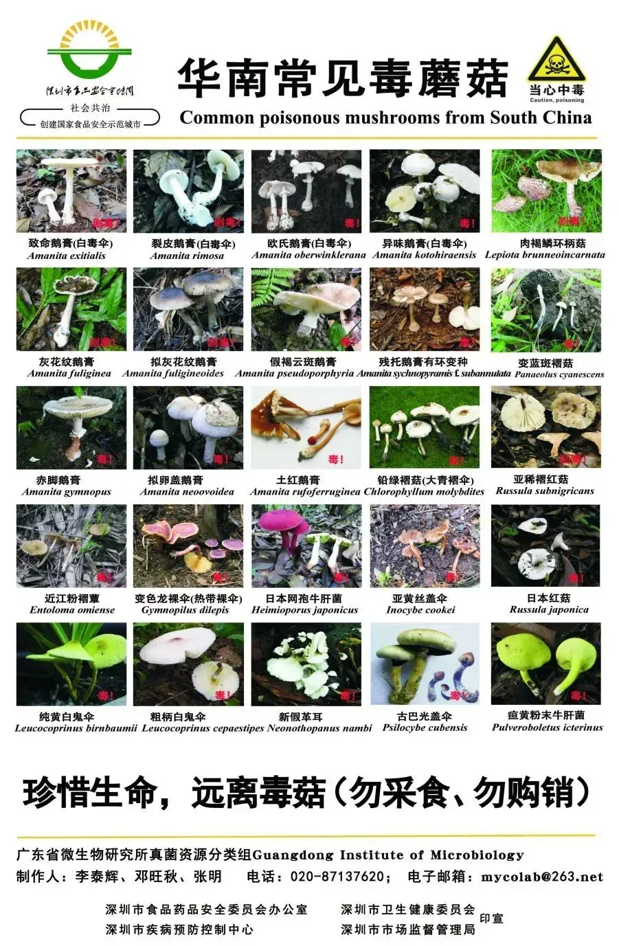 院子长出野蘑菇,晚餐尝鲜下肚……中毒了!