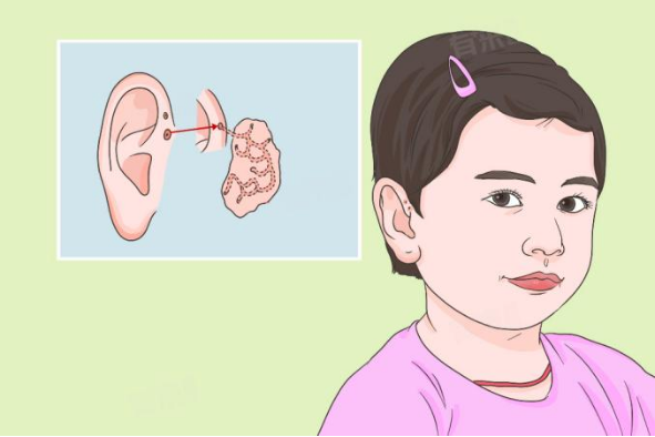 耳朵上的小洞洞,到底是个啥?